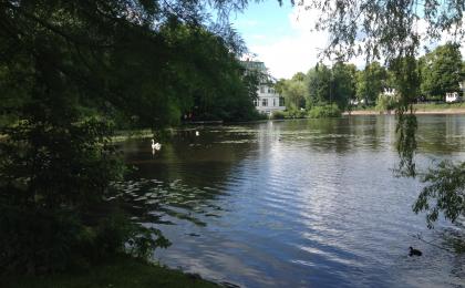 Bild des Chillorts